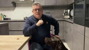 Durchfall beim Hund Labrador mit Durchfall
